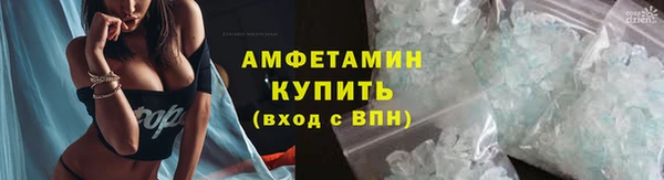 шишки Костерёво