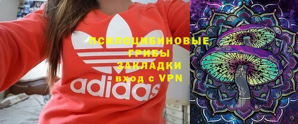 шишки Костерёво