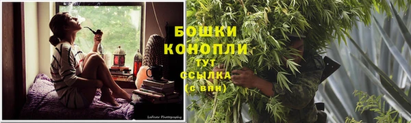 шишки Костерёво