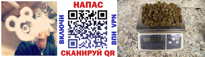 Шишки марихуана план  Купить где  Благодарный 